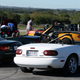 Illustration for article titled Miatas At A Race Track Multiply Worse Than Rabbits